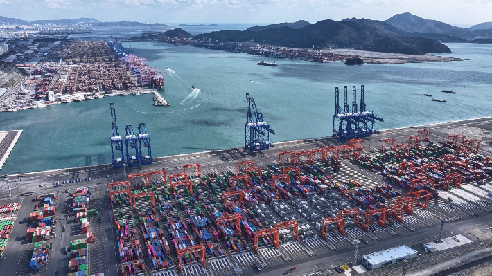 J-Hub AI 분석 리포트