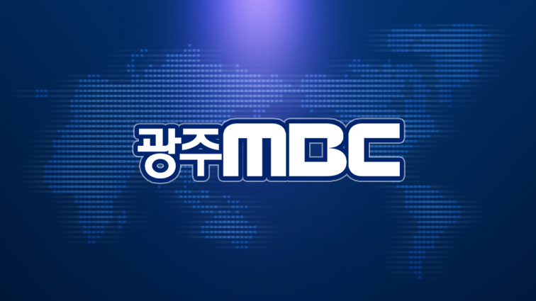 지역 특화 첨단산업 클러스터 구축 및 AI 반도체 생태계 조성 전략 분석