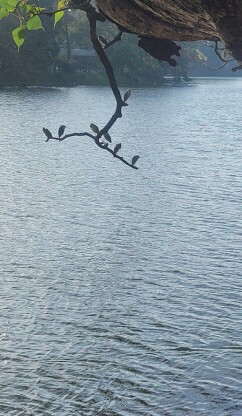 미래 전력 반도체 패러다임을 이끌 GaN 웨이퍼 기술: KOSME IR마트 투자 유치 분석